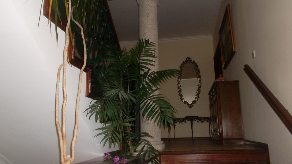 Casa Pinho Pensionat São Pedro do Sul Eksteriør billede
